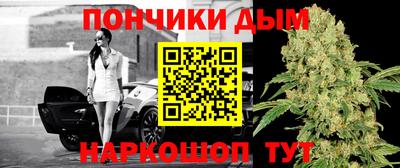 Альфа ПВП Обь