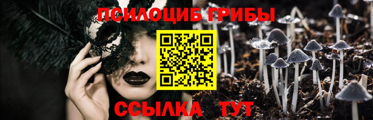 Псилоцибиновые грибы мухоморы Кондопога