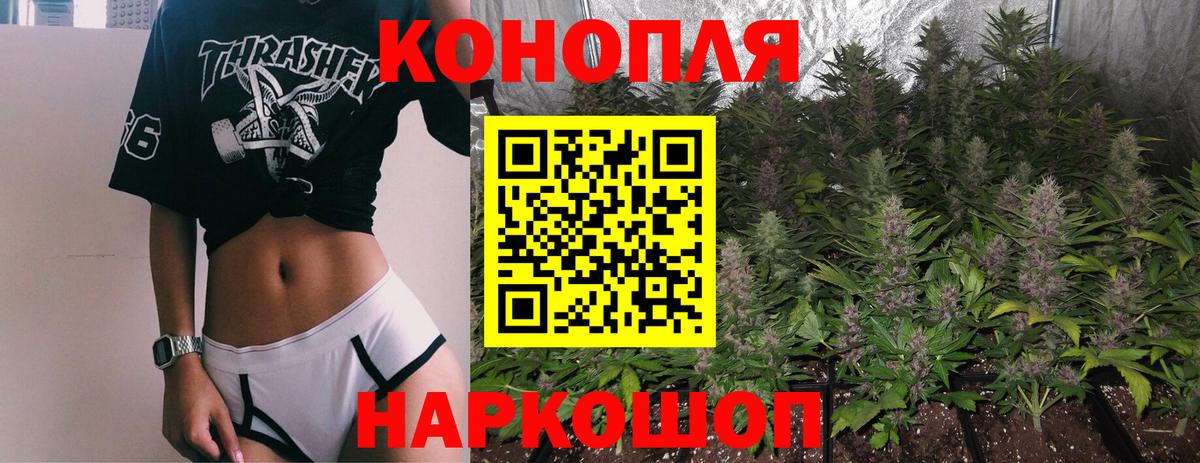 Шишки марихуана гибрид Кондопога